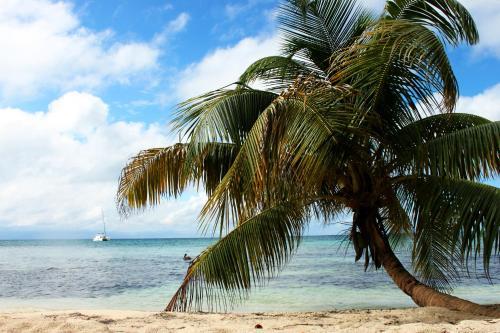 Hotel Ranguana Caye Cabanas