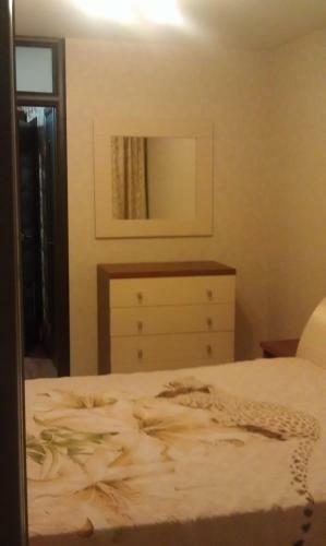 Apartment On Shoshina 5