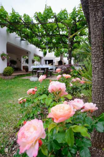 B&B Li Fringi