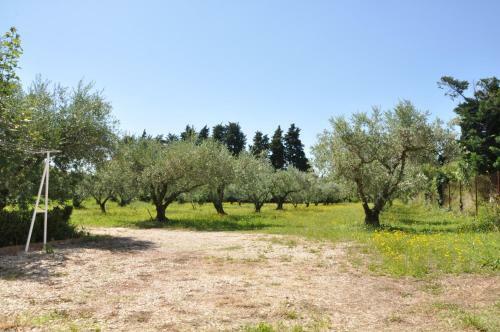 G�te Du Mas Des Oliviers