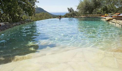 Apartamento R�sidence Les Oliviers