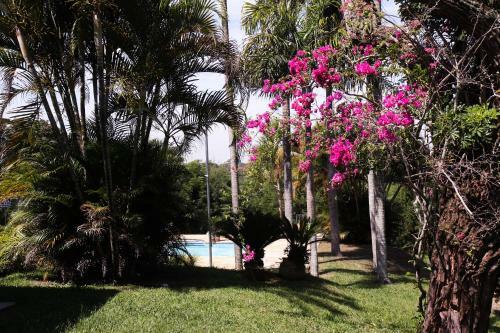 Espa�o Sorrentino's
