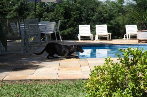 Espa�o Sorrentino's