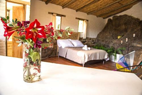 Agroturismo Residencias Art�sticas El Hayuelo