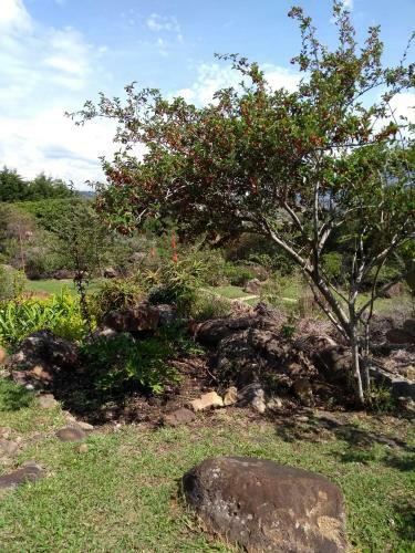Agroturismo Residencias Art�sticas El Hayuelo