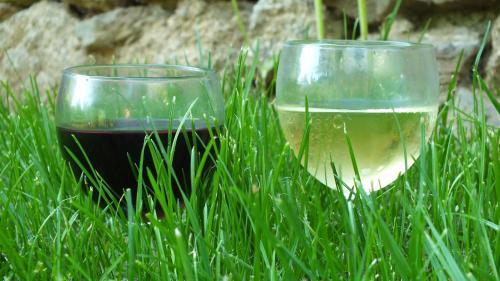 Bed & Breakfast La Fretissiere