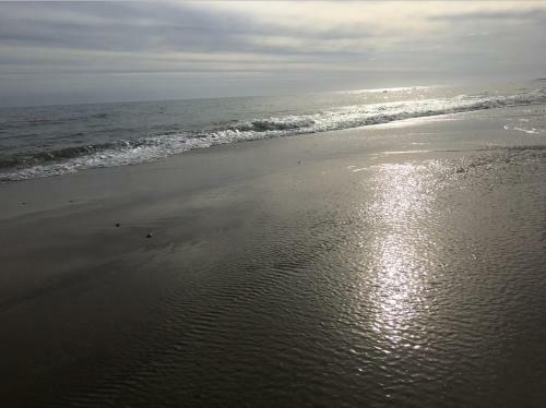 Hotel Mandalas Del Este