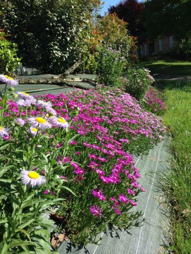 Les Courr�ges