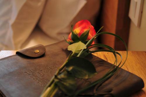 Hotel Sy Les Glycines