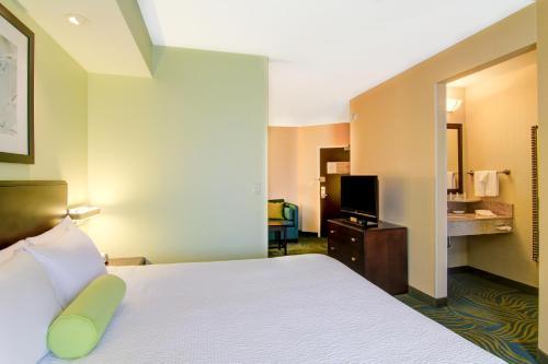 Hotel Springhill Suites Erie