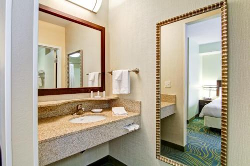 Hotel Springhill Suites Erie