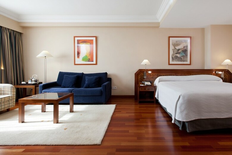 Hotel NH Pamplona Iru�a Park