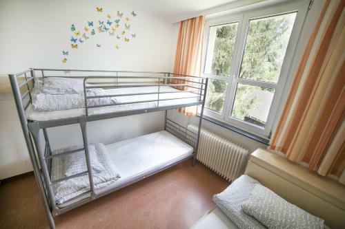 Hostal Muffin Hostel