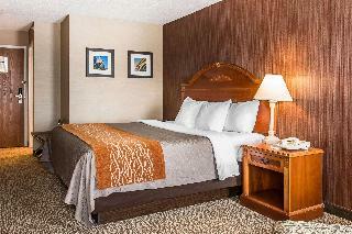 Hotel Comfort Inn Ann Arbor Area