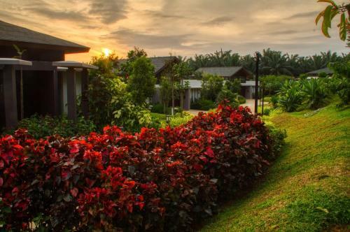 Hotel Mangala Resort And Spa - All Villa