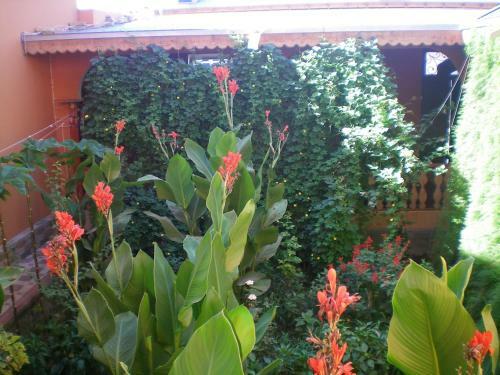 Hostel Laliopa
