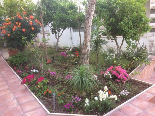 Hostal Miriam Short Term Rental