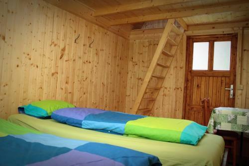 Campsite Moravacamp