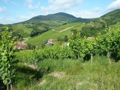Schiefferberg