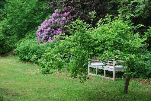 Bed & Breakfast De Hagmolenbeek Boekelo