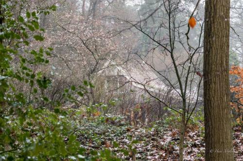 Bed & Breakfast De Hagmolenbeek Boekelo