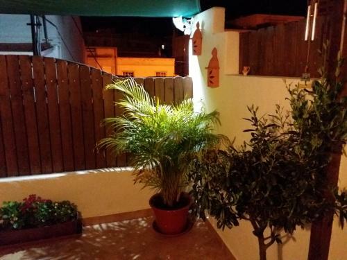 Apartamento Casa Beco Sao Luis