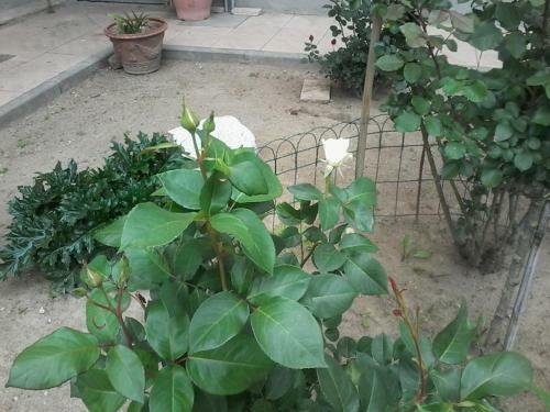 Bed & Breakfast Perbacco