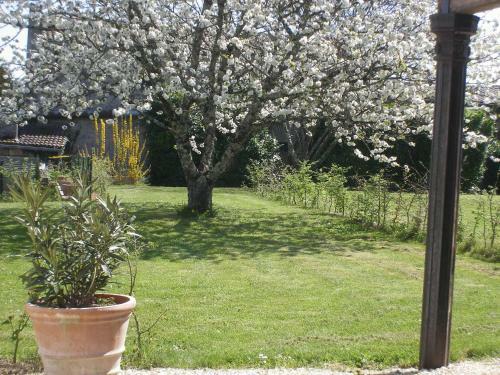 Cottage C�te Atlantique VII