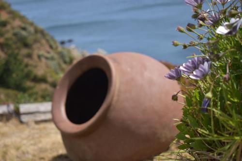 Lodge Caba�as Carilafquen
