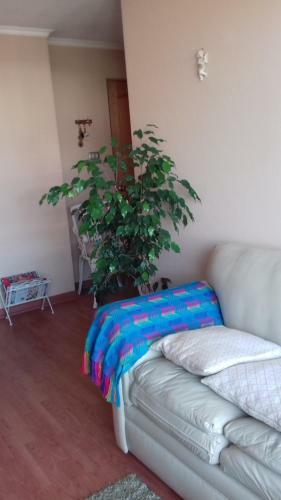 Apartamento Campanario III