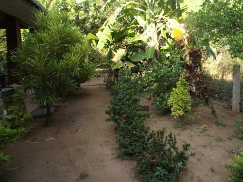 Janaka Safari Homestay