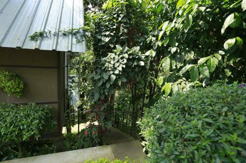 Villa Moselberg Riverside Cottages