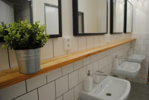 Hostal Hostel Kaktus