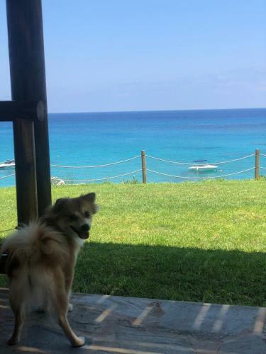 Mythical Sands Resort - Good Vibes Apartment