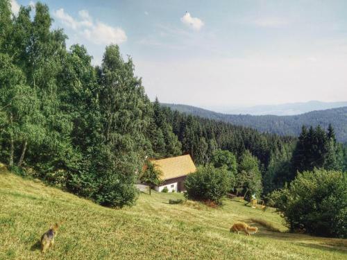 Holiday Home Miesenbach With Fireplace 10