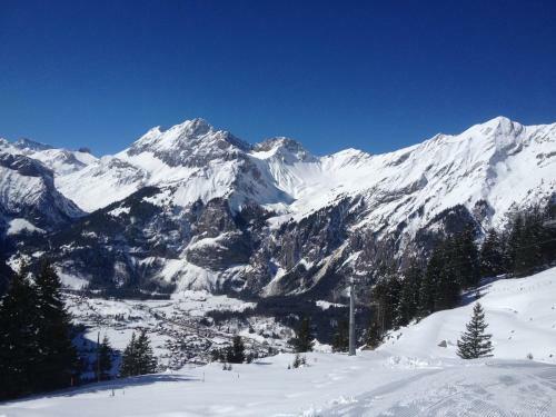 Apartamento Appartment Chalet Sonnenheim