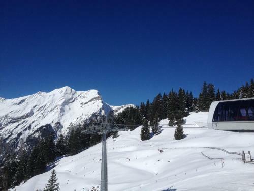 Apartamento Appartment Chalet Sonnenheim