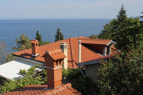 Hostal Double Room Medveja 7775b