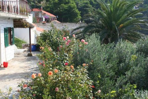 Apartments By The Sea Zavode (omis) - 1022
