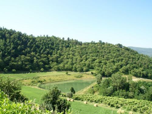 Fattoria I Fratelli Beato Angelico