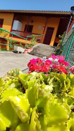 Agroturismo Casa Zaida