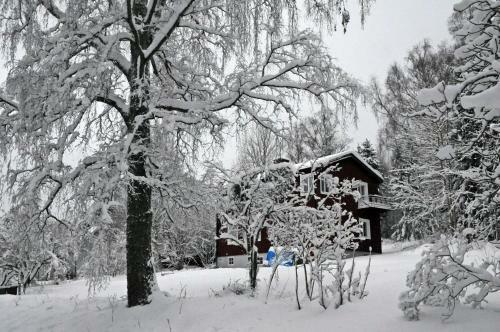 Bed & Breakfast Muses Bnb