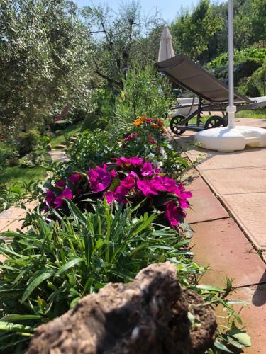 B&B Puccini