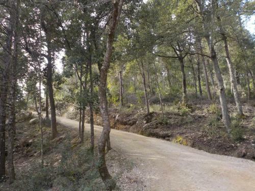 Apartamento Agriturismo Ormanni - Podere La Querce