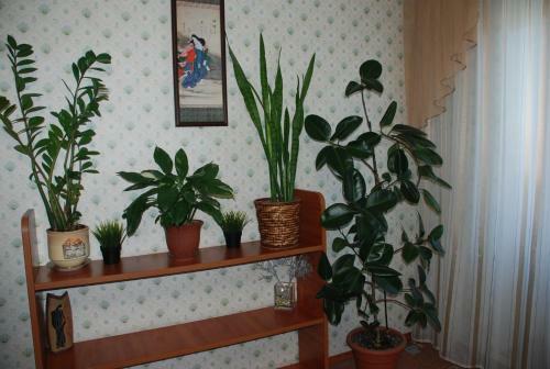 Apartment Luks On Moskovskiy Prospekt 138