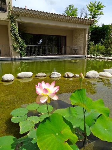 Apartamento Maison Du Lac