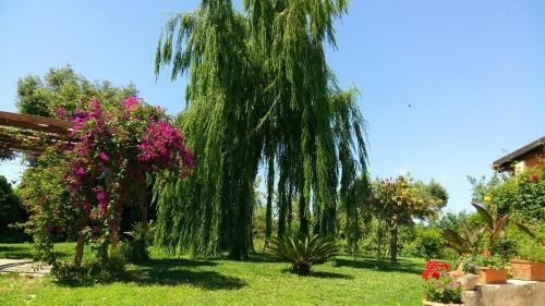 Bed & Breakfast La Casa Dei Sogni