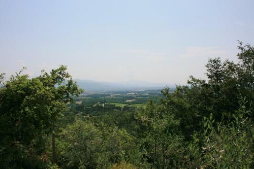 Villa La Rogaia