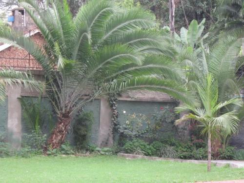 Diani Springs Apartments Nairobi