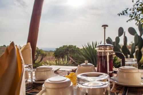 Marafiki Safari Lodge